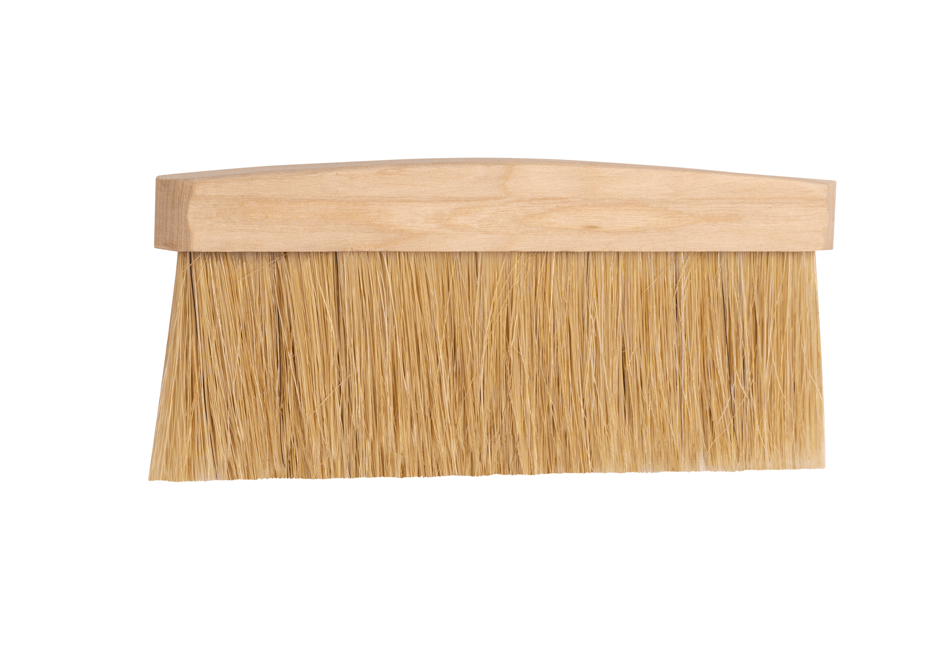 Scley zmiotka malarska szer. 17 cm